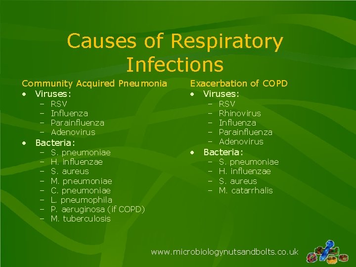 Causes of Respiratory Infections Community Acquired Pneumonia • Viruses: – – RSV Influenza Parainfluenza