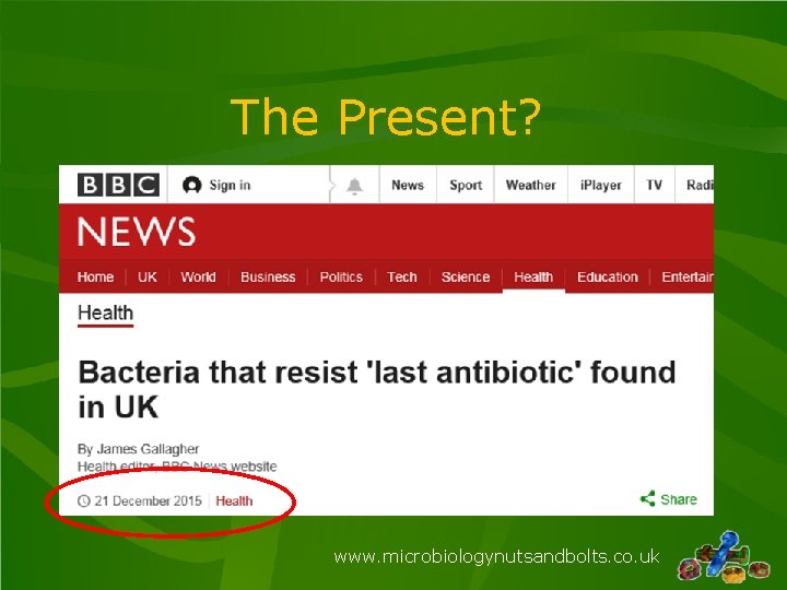 The Present? www. microbiologynutsandbolts. co. uk The Present? www. microbiologynutsandbolts. co. uk