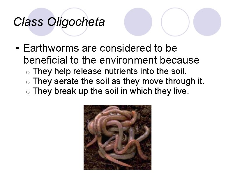 Class Oligocheta • Earthworms are considered to be beneficial to the environment because o Class Oligocheta • Earthworms are considered to be beneficial to the environment because o
