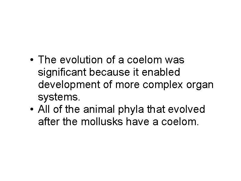 • The evolution of a coelom was significant because it enabled development of • The evolution of a coelom was significant because it enabled development of