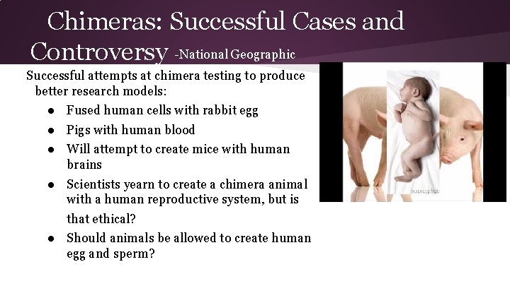 Chimeras: Successful Cases and Controversy -National Geographic Successful attempts at chimera testing to produce