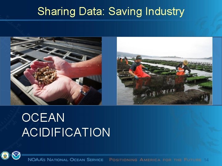 Sharing Data: Saving Industry OCEAN ACIDIFICATION 14 