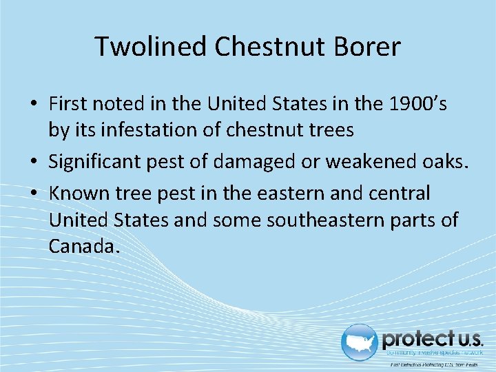 Twolined Chestnut Borer • First noted in the United States in the 1900’s by