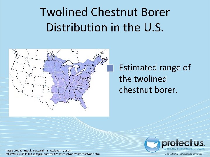 Twolined Chestnut Borer Distribution in the U. S. Estimated range of the twolined chestnut