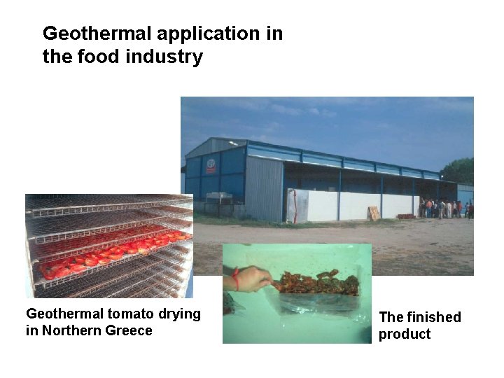 Geothermal application in the food industry Geothermal tomato drying in Northern Greece The finished