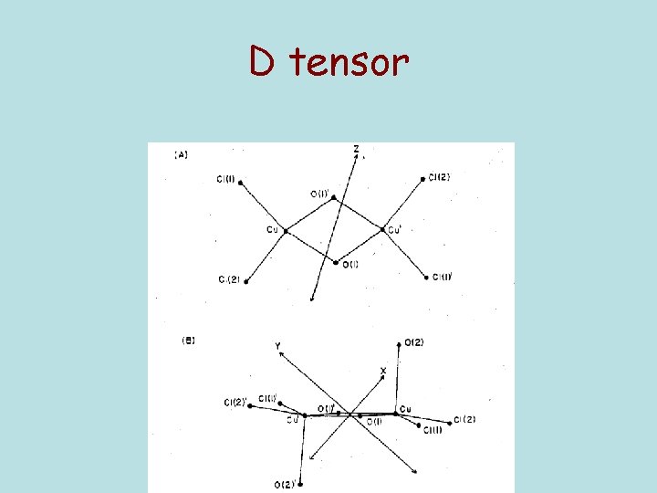 D tensor 