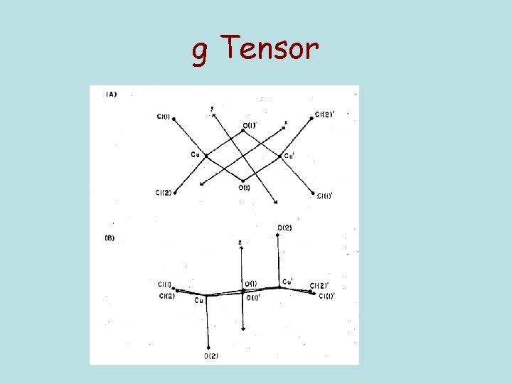 g Tensor 