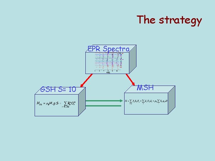 The strategy EPR Spectra GSH S= 10 MSH 