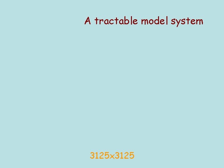 A tractable model system 3125 x 3125 