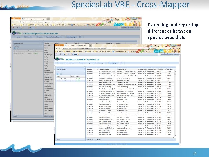 Species. Lab VRE - Cross-Mapper Detecting and reporting differences between species checklists 24 