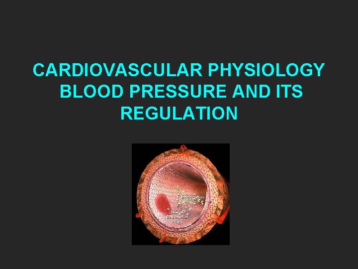 CARDIOVASCULAR PHYSIOLOGY BLOOD PRESSURE AND ITS REGULATION 