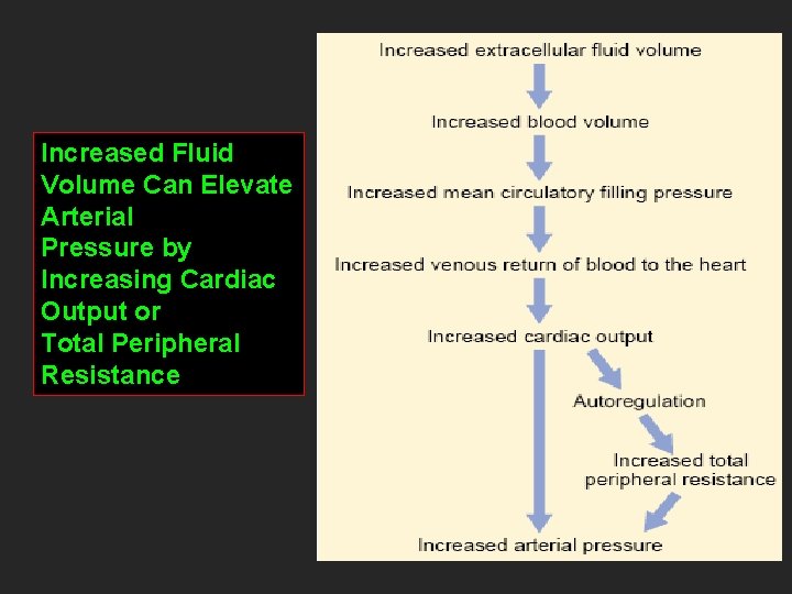 Increased Fluid Volume Can Elevate Arterial Pressure by Increasing Cardiac Output or Total Peripheral