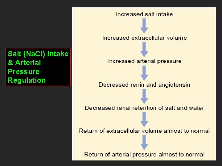 Salt (Na. Cl) intake & Arterial Pressure Regulation 