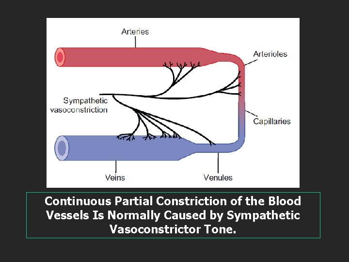 Continuous Partial Constriction of the Blood Vessels Is Normally Caused by Sympathetic Vasoconstrictor Tone.