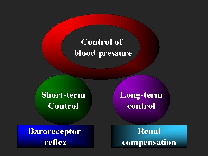 Control of blood pressure Short-term Control Baroreceptor reflex Long-term control Renal compensation 