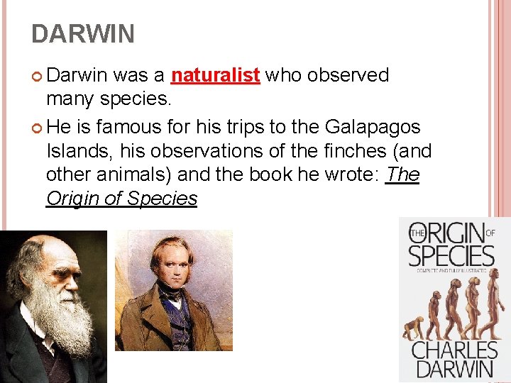 DARWIN Darwin was a naturalist who observed naturalist many species. He is famous for