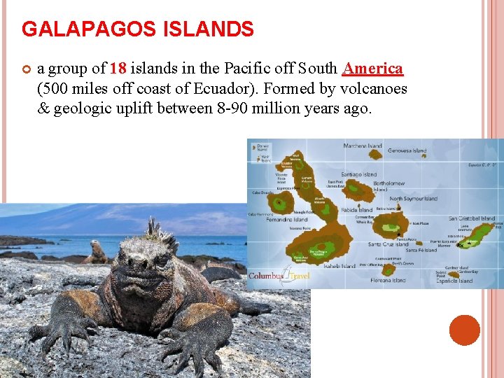 GALAPAGOS ISLANDS a group of 18 islands in the Pacific off South America (500