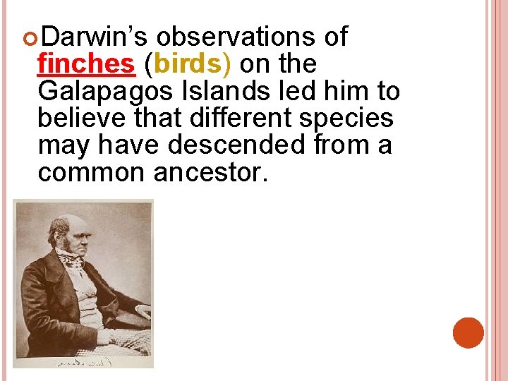  Darwin’s observations of finches (birds) on the finches Galapagos Islands led him to