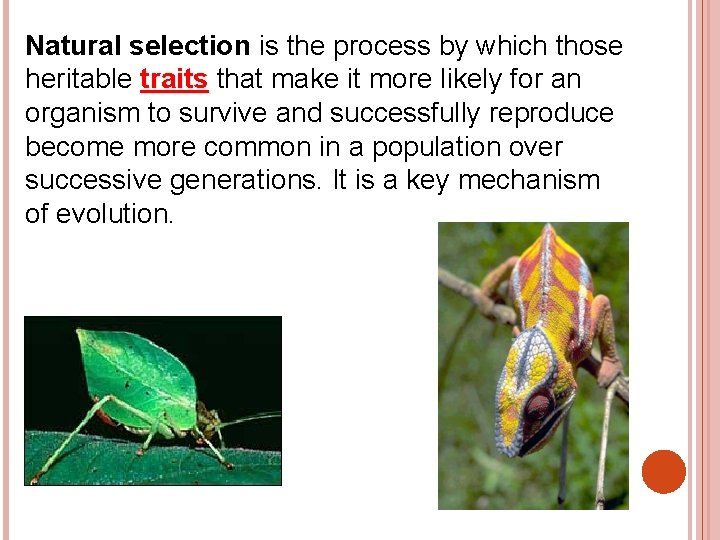 Natural selection is the process by which those heritable traits that make it more