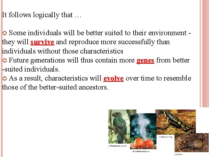 It follows logically that … Some individuals will be better suited to their environment