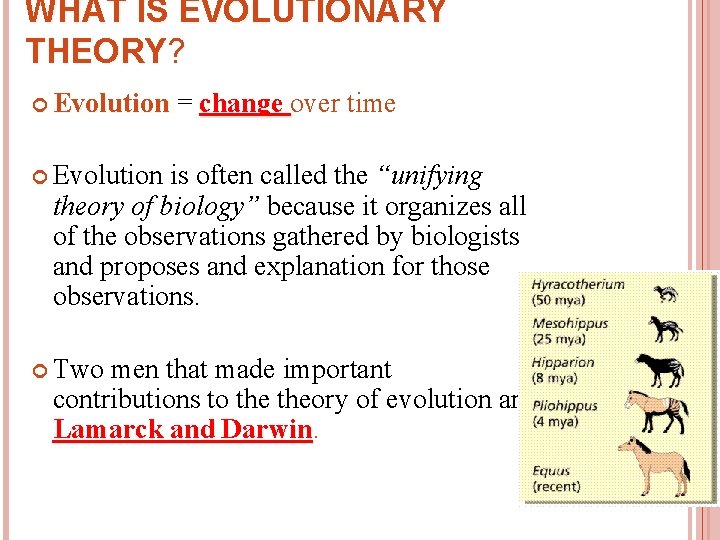 WHAT IS EVOLUTIONARY THEORY? Evolution = change over time Evolution is often called the