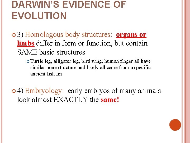 DARWIN’S EVIDENCE OF EVOLUTION 3) Homologous body structures: organs or limbs differ in form
