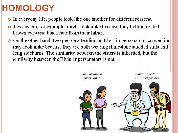 HOMOLOGY In everyday life, people look like one another for different reasons. Two sisters,