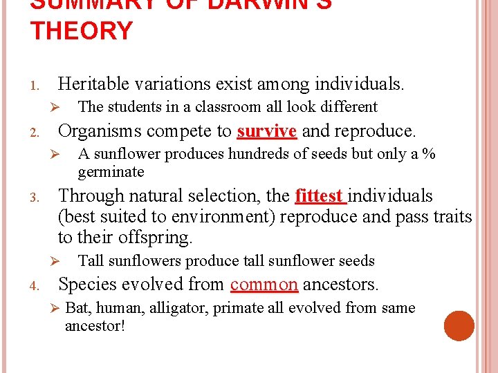 SUMMARY OF DARWIN’S THEORY 1. Heritable variations exist among individuals. Ø 2. Organisms compete