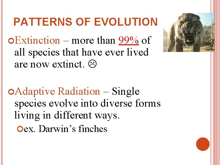 PATTERNS OF EVOLUTION Extinction – more than 99% of all species that have ever