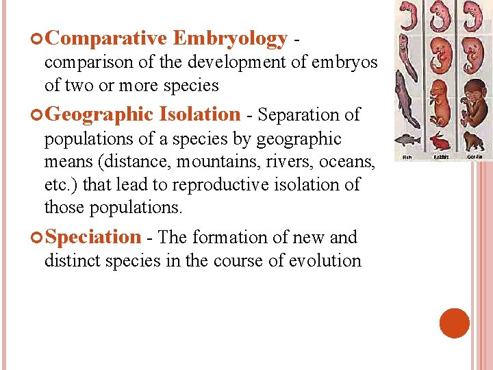  Comparative Embryology comparison of the development of embryos of two or more species