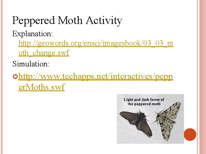 Peppered Moth Activity Explanation: http: //geowords. org/ensci/imagesbook/03_03_m oth_change. swf Simulation: http: //www. techapps. net/interactives/pepp