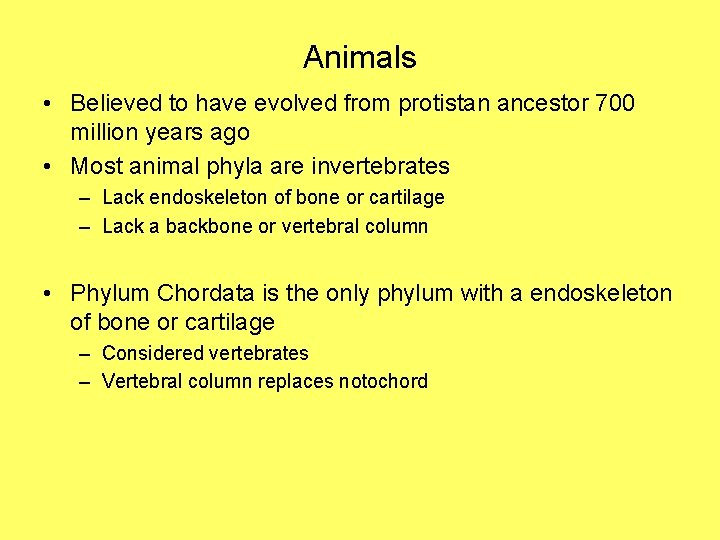 Animals • Believed to have evolved from protistan ancestor 700 million years ago •