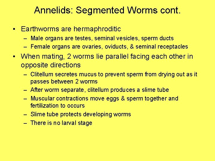 Annelids: Segmented Worms cont. • Earthworms are hermaphroditic – Male organs are testes, seminal