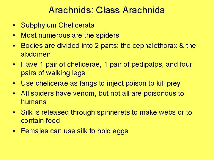 Arachnids: Class Arachnida • Subphylum Chelicerata • Most numerous are the spiders • Bodies