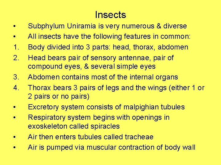 Insects • • 1. 2. 3. 4. • • Subphylum Uniramia is very numerous