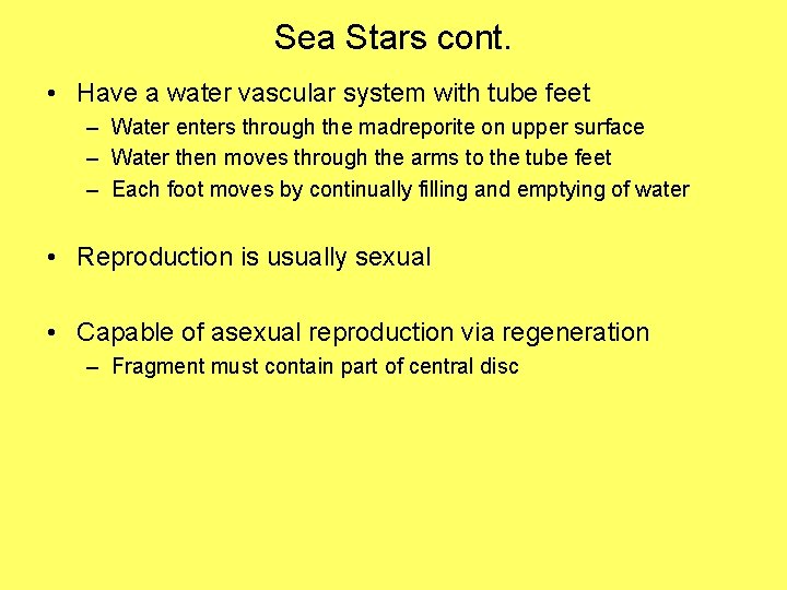 Sea Stars cont. • Have a water vascular system with tube feet – Water