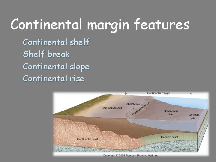 Continental margin features Continental shelf Shelf break Continental slope Continental rise 