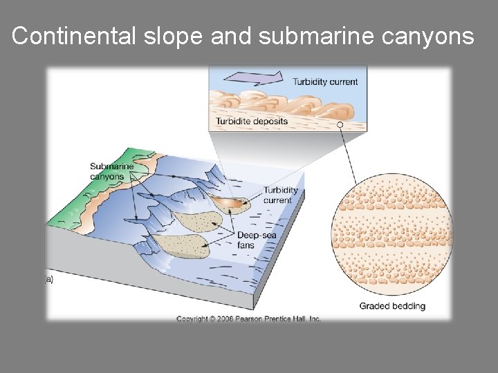 Continental slope and submarine canyons 