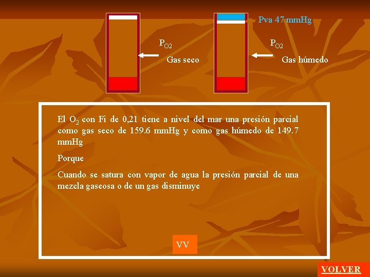 Pva 47 mm. Hg PO 2 Gas seco Gas húmedo El O 2 con
