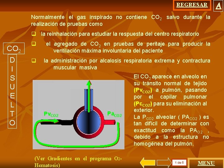 REGRESAR Normalmente el gas inspirado no contiene CO 2. salvo durante la realización de