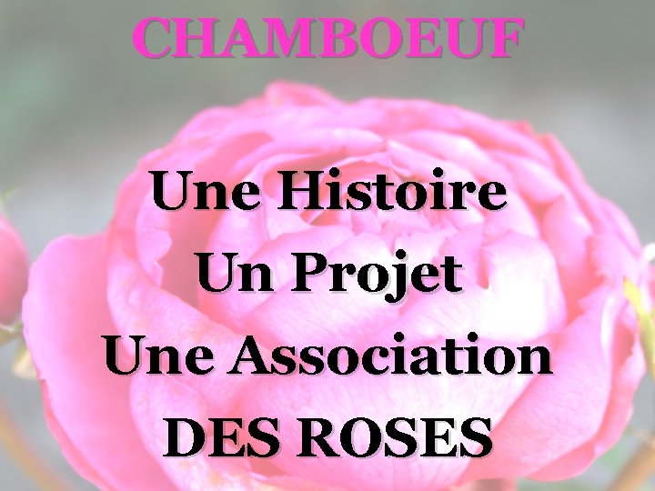 CHAMBOEUF Une Histoire Un Projet Une Association DES ROSES 