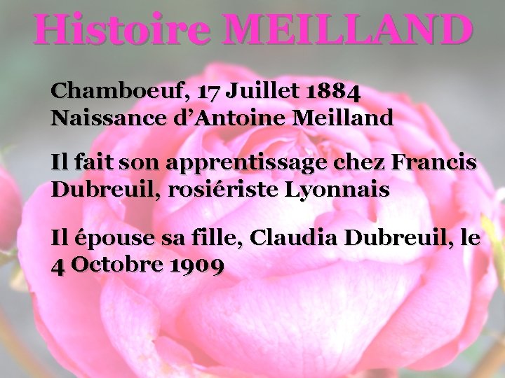 Histoire MEILLAND Chamboeuf, 17 Juillet 1884 Naissance d’Antoine Meilland Il fait son apprentissage chez