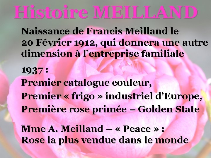 Histoire MEILLAND Naissance de Francis Meilland le 20 Février 1912, qui donnera une autre