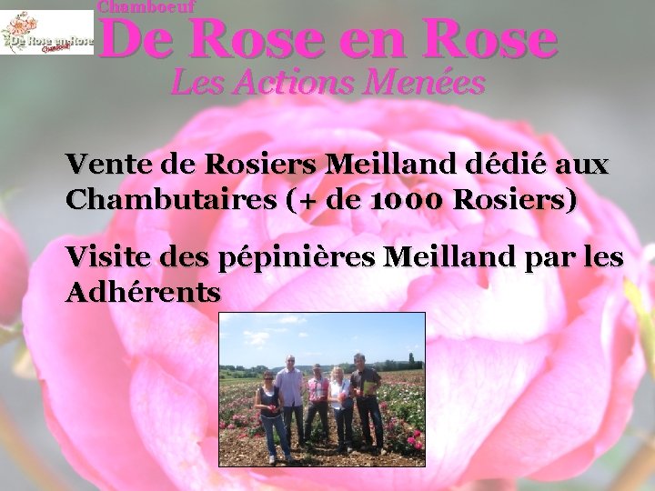 Chamboeuf De Rose en Rose Les Actions Menées Vente de Rosiers Meilland dédié aux