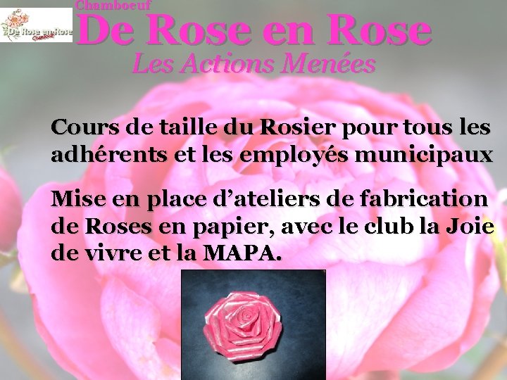 Chamboeuf De Rose en Rose Les Actions Menées Cours de taille du Rosier pour