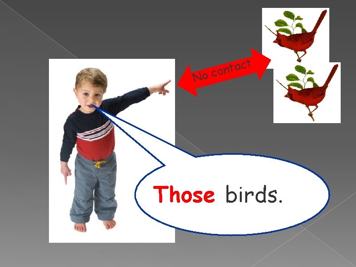 t ac t n o oc N Those birds. 