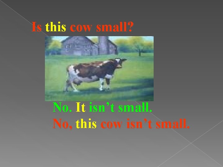 Is this cow small? No. It isn’t small. No, this cow isn’t small. 