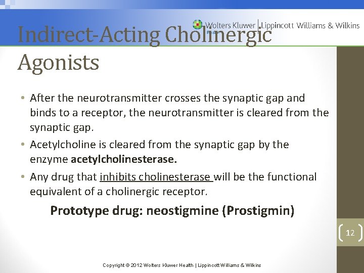 Indirect-Acting Cholinergic Agonists • After the neurotransmitter crosses the synaptic gap and binds to