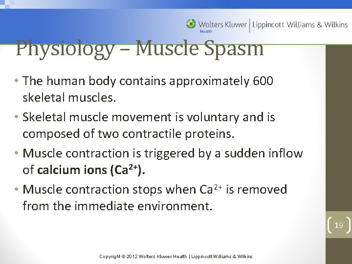 Physiology – Muscle Spasm • The human body contains approximately 600 skeletal muscles. •