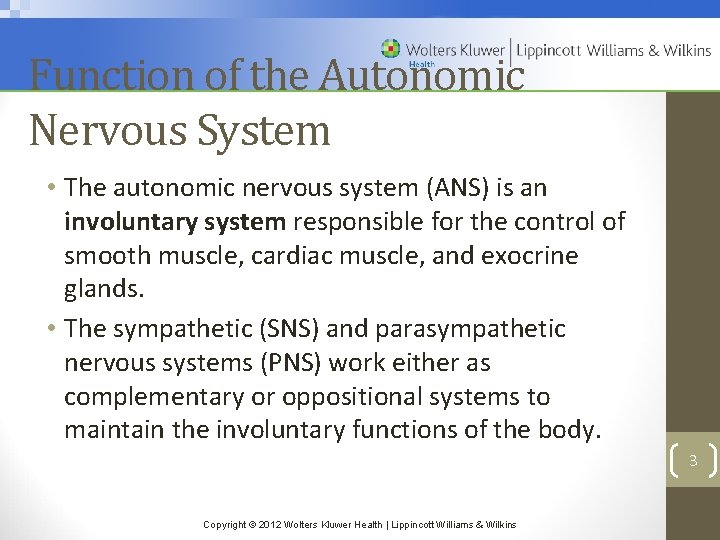 Function of the Autonomic Nervous System • The autonomic nervous system (ANS) is an